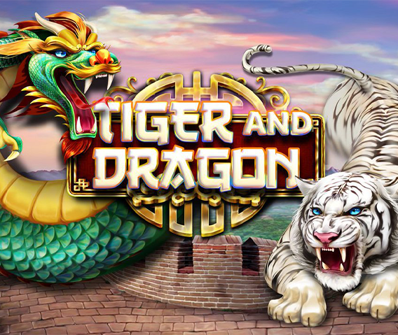 Jadi Pemain Dragon Tiger Sukses Berkat Ubah Cara Bertaruh